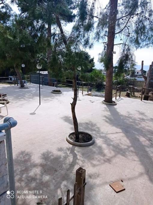 Appartamento In Villa Con Pineta Leporano Luaran gambar